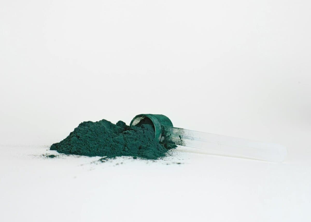 Beste Eiwitpoeder 2026: Whey vs Isolate vs Plantaardig