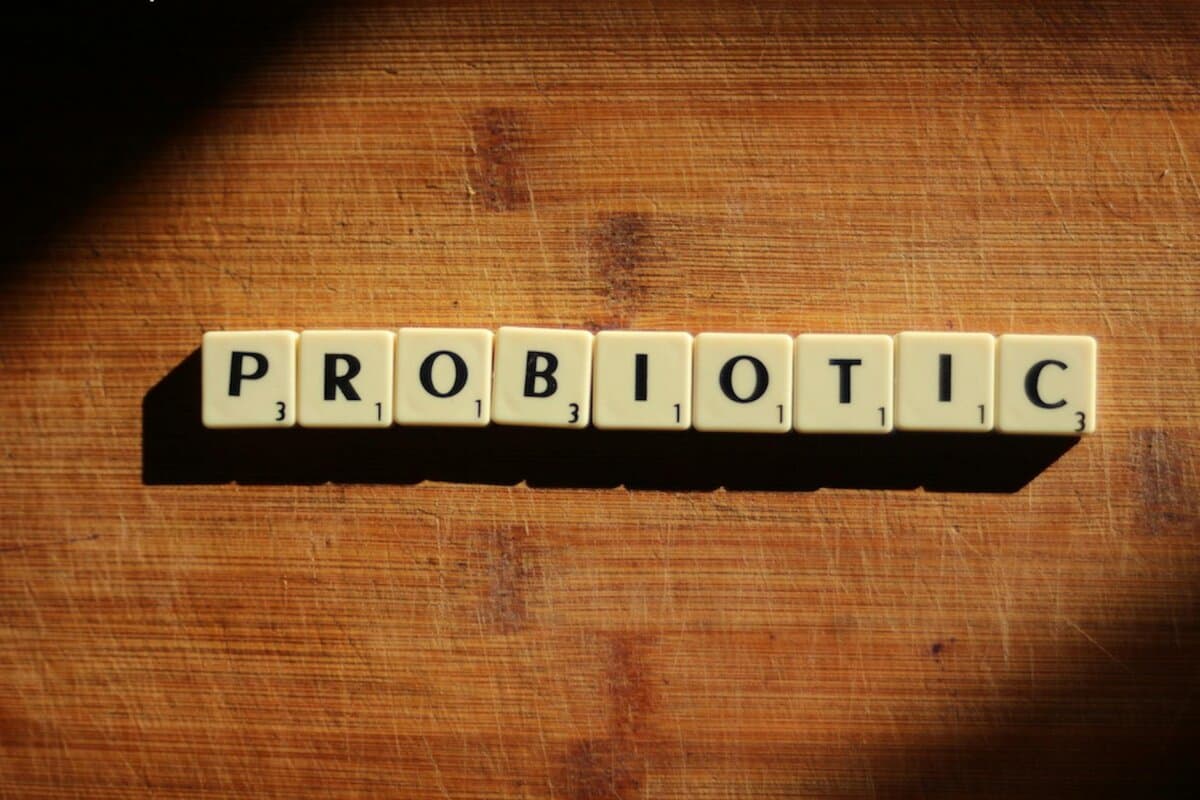 Gut Health Probiotics for Athletes: How They Impact Performance