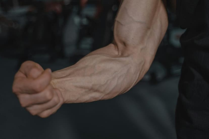 Myofibrillar vs Sarcoplasmic Hypertrophy Explained