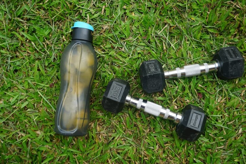 Partición de nutrientes: come más y gana menos grasa