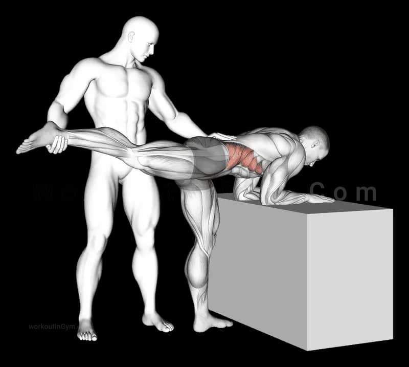 アシスト付き片脚レッグエクステンション exercise demonstration - starting position (step 1 of 1)