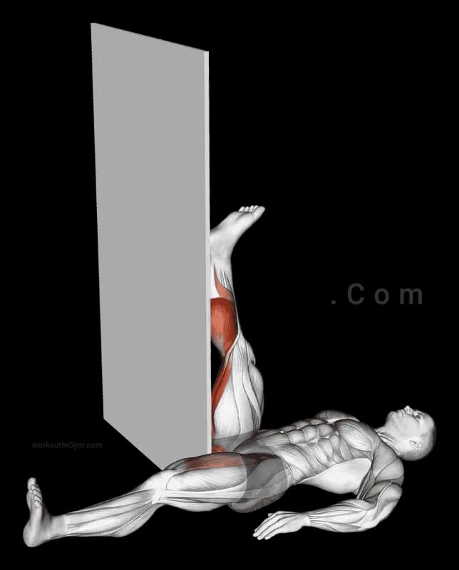 仰向け膝屈筋ストレッチ exercise demonstration - starting position (step 1 of 1)