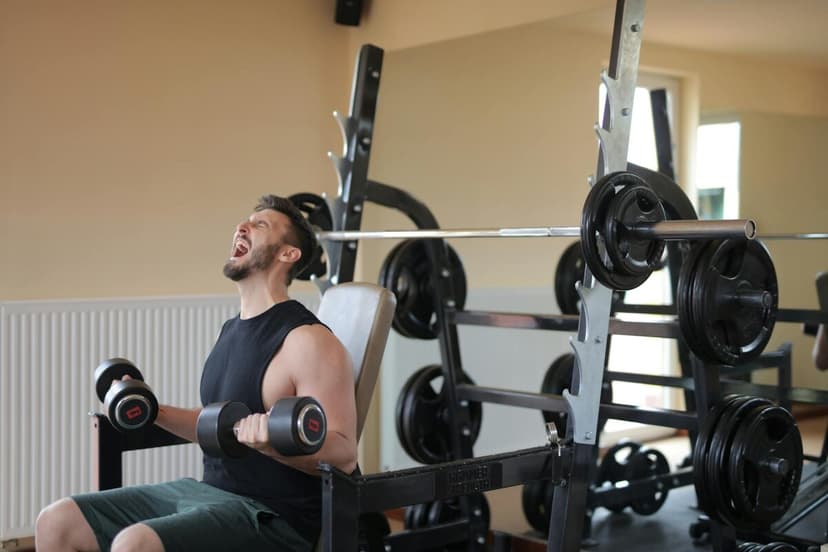 Shred & Size Master Plan